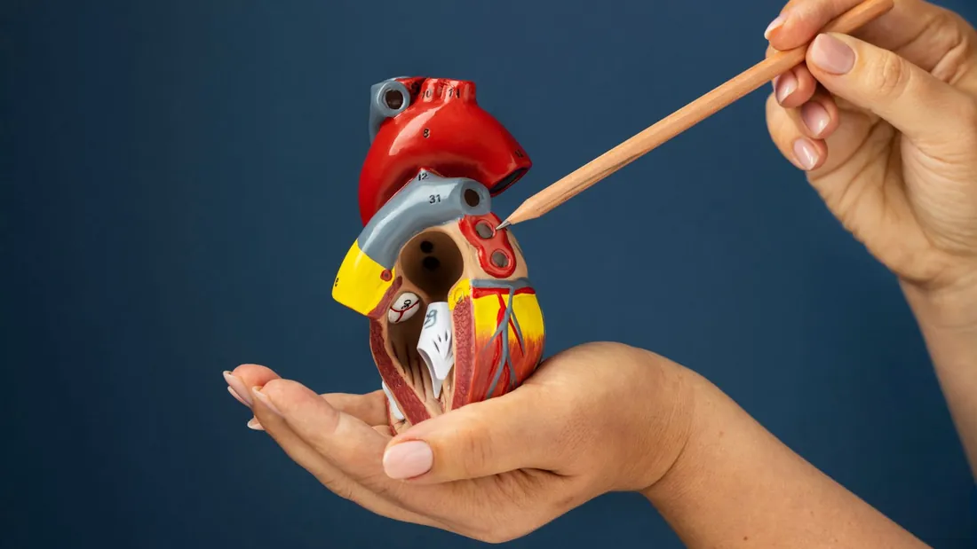 Aneurisma de Aorta: o que é, sintomas, riscos e quando operar
