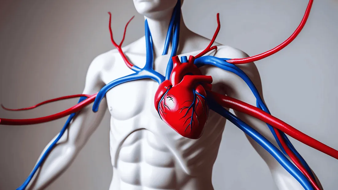 Embolia Arterial Aguda: Urgência Vascular