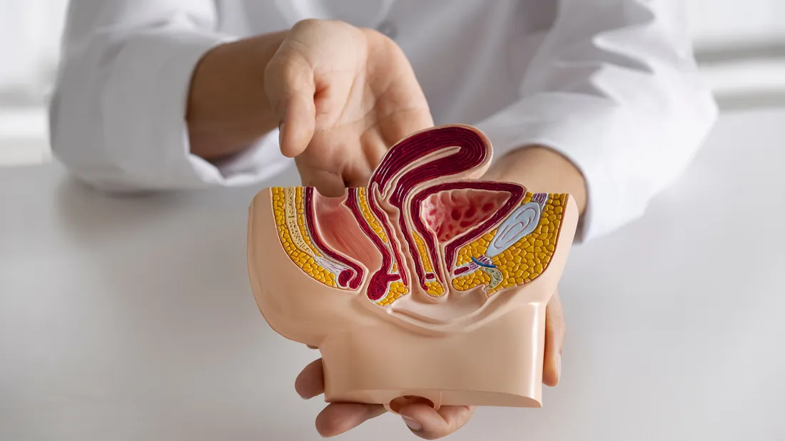 Hemorroidas e Doença Vascular: 6 Pontos para Entender a Relação