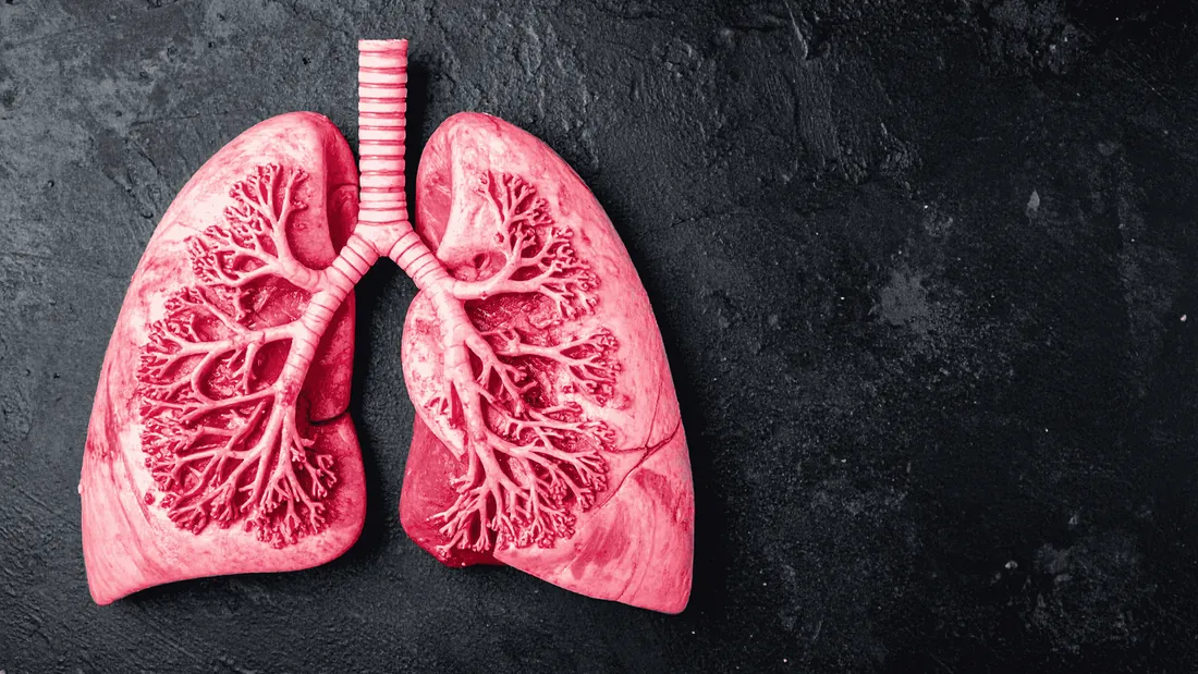 Tromboembolismo Pulmonar (TEP): Uma Consequência da TVP e a Urgência da Intervenção Vascular