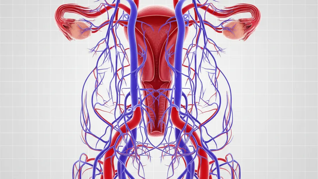 Varizes Pélvicas: A Causa Comum de Dor que Muitas Mulheres Ignoram